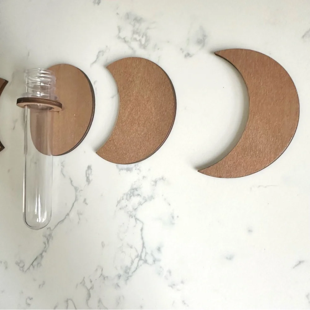 Moon Phase Hanging Plant Propagation Test Tube Station Gift Wall Decor Vase Boho